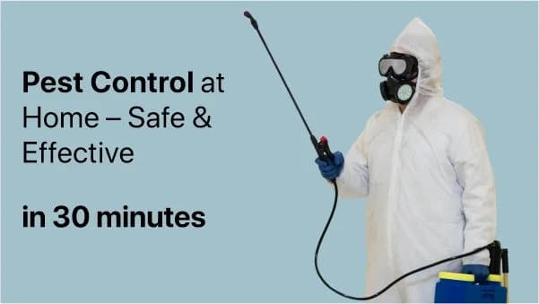 Pest control service