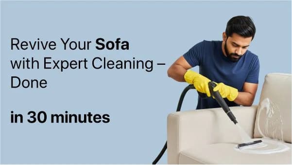 Sofa cleaning service