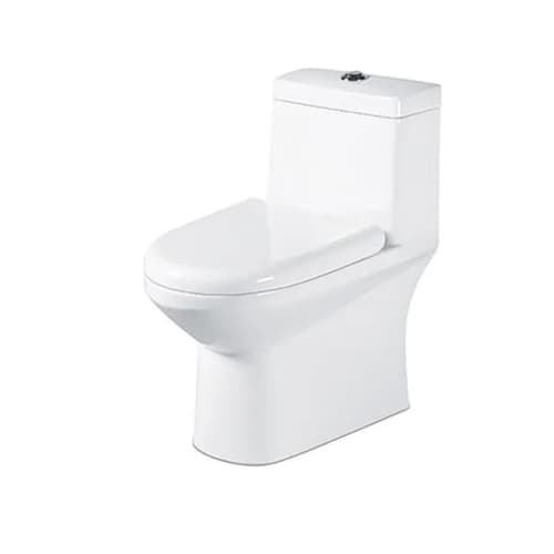 Western toilet (floor-mounted)
