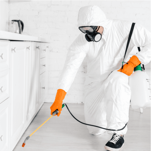 Apartment pest control