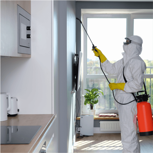 Bungalow pest control