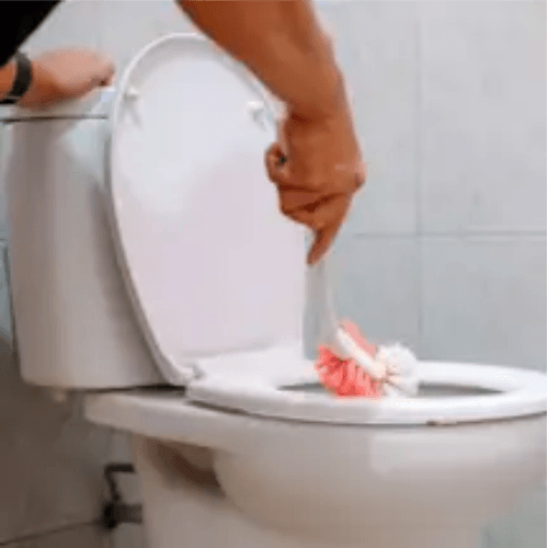 Classic bathroom cleaning 