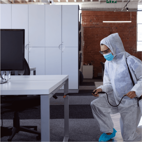 Office pest control