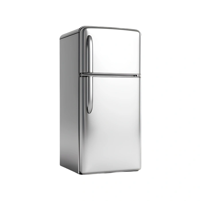 Double door refrigerator check-up (inverter)