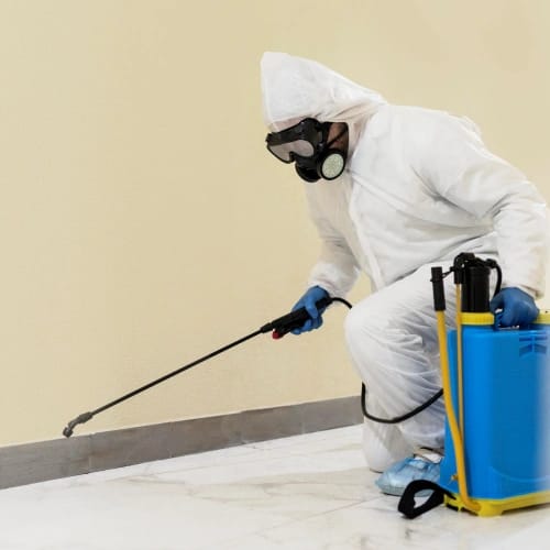 Pest control