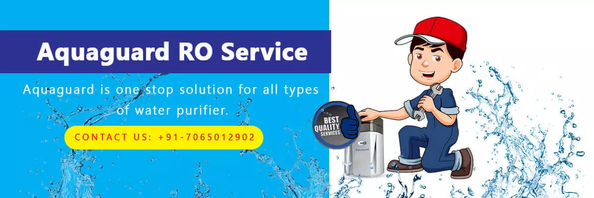 Aquaguard RO Service