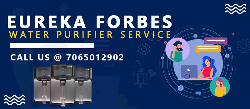 Eurekaforbes Service